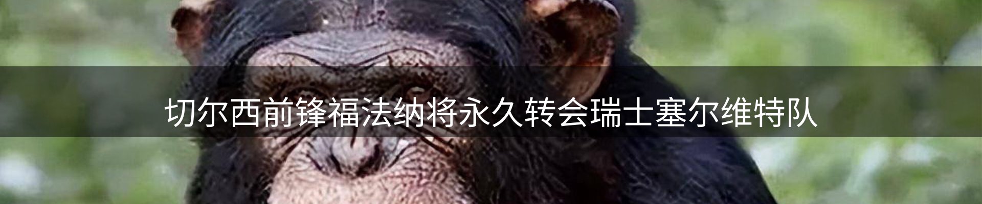 企业前沿